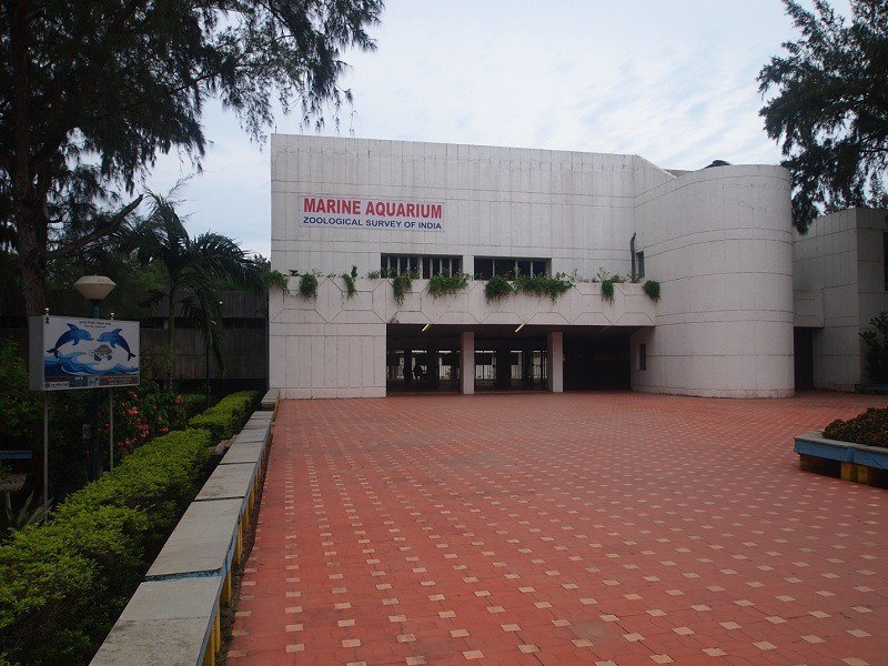 The Marine Aquarium and research center digha